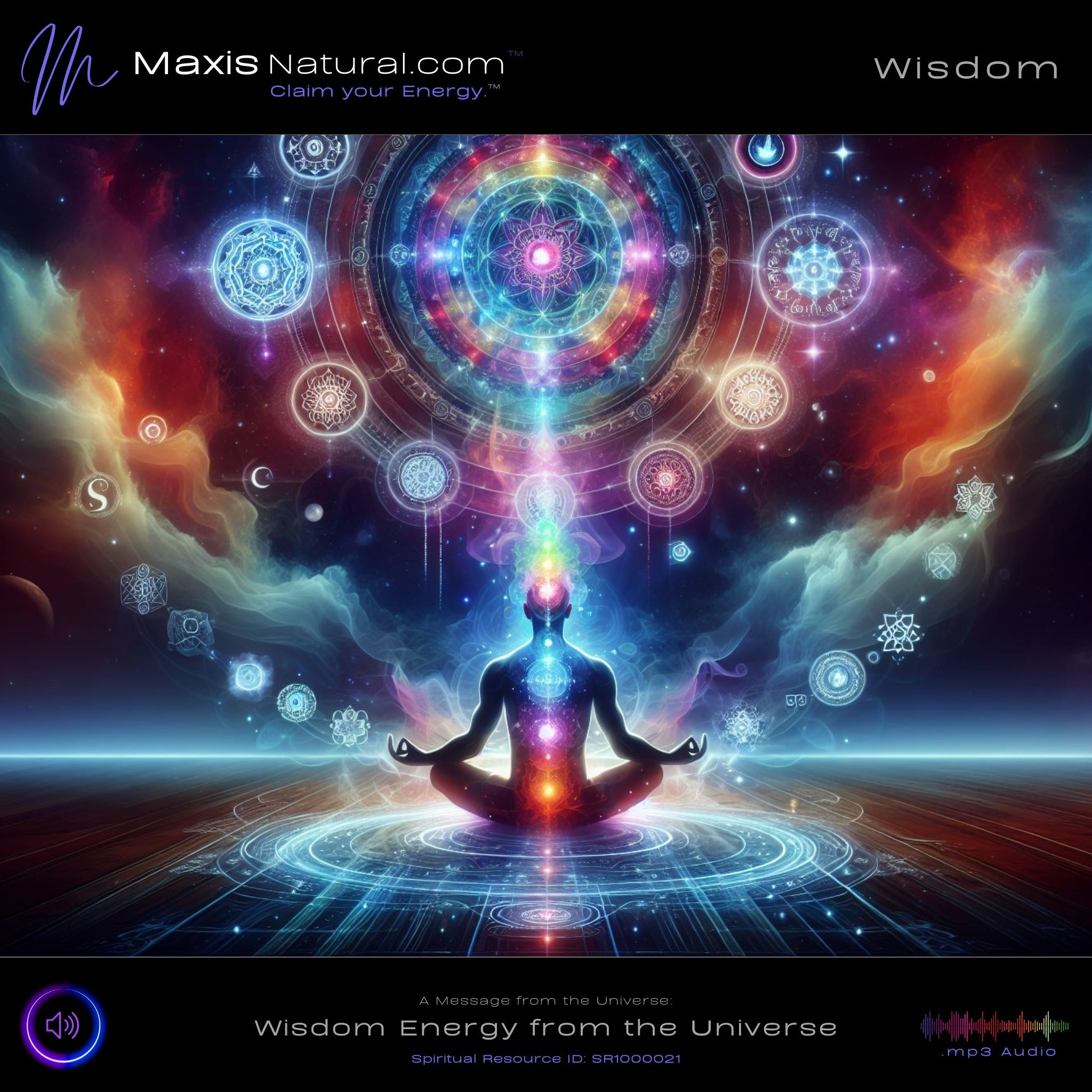 Messages from the Universe - The Universe's Gift of Wisdom (SR1000021)